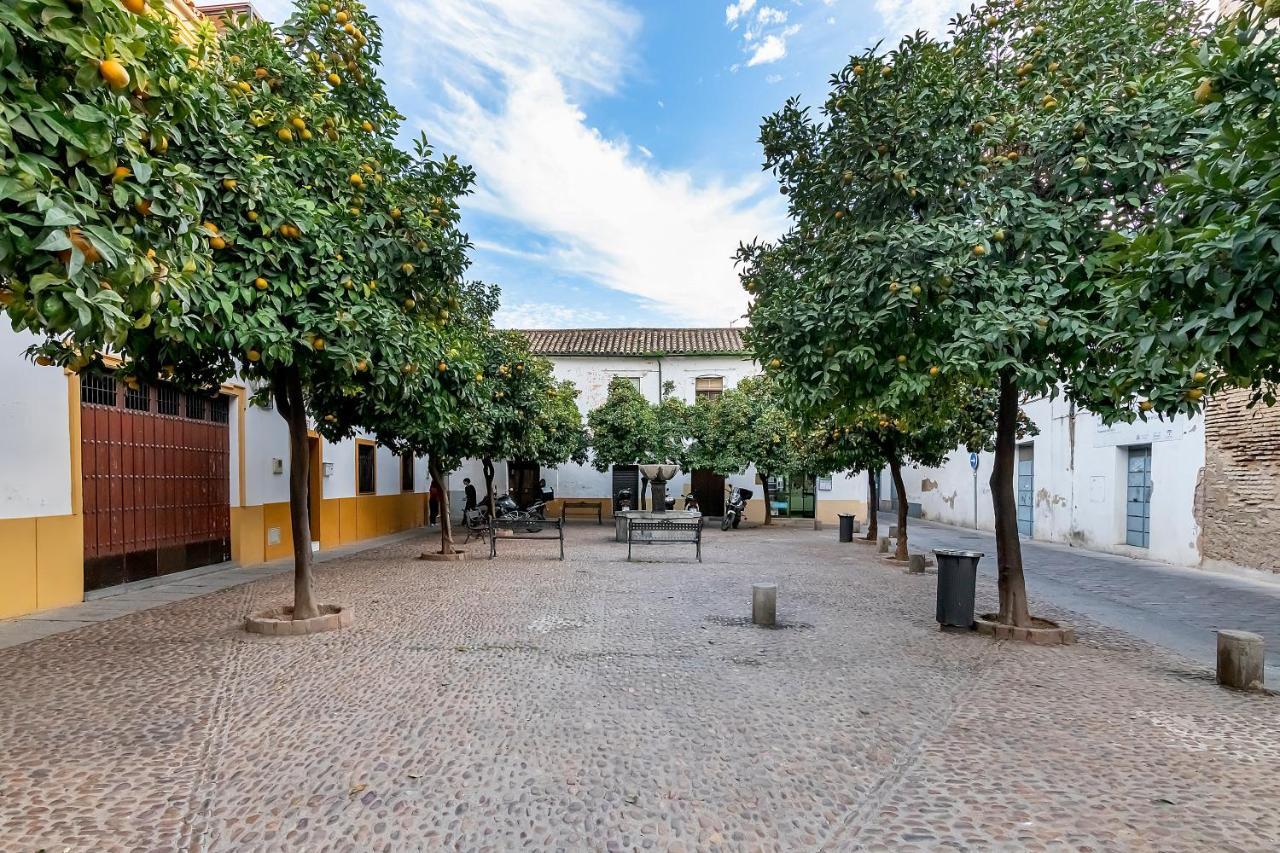 Apartamento Bhost - Regina IV Córdoba Exterior foto